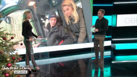 Best Off Stallgeflüster