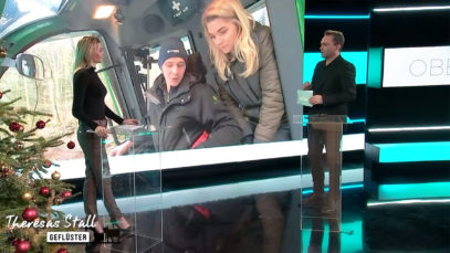 Best Off Stallgeflüster