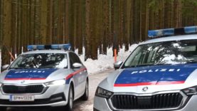 111 Schneestangenmord