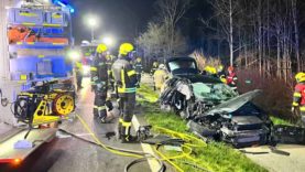 111 Unfall Frau