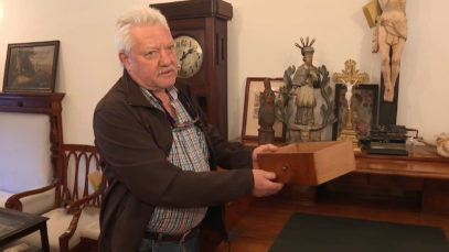 Antiquitätensammler Steyr