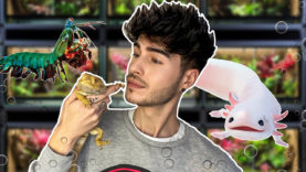 LT1_ExotischeMitbewohner