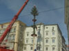 Maibaum