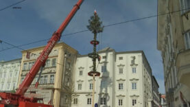 Maibaum