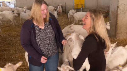 Theresa Stallgeflüster