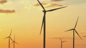 111 Haimbuchner Windräder