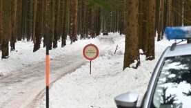 111 Schneestangen Mörder