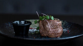 Fragen zur Jagd Wildbret