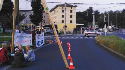 111 Klimakleber Holzgerüst