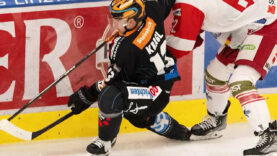 Black Wings Inside Georg Kragl