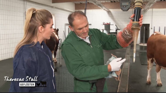 Stallgeflüster Samenstation