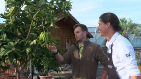 Mühlviertler Hochland Bergergut