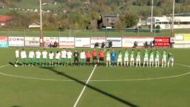 231105_Micheldorf_Wels